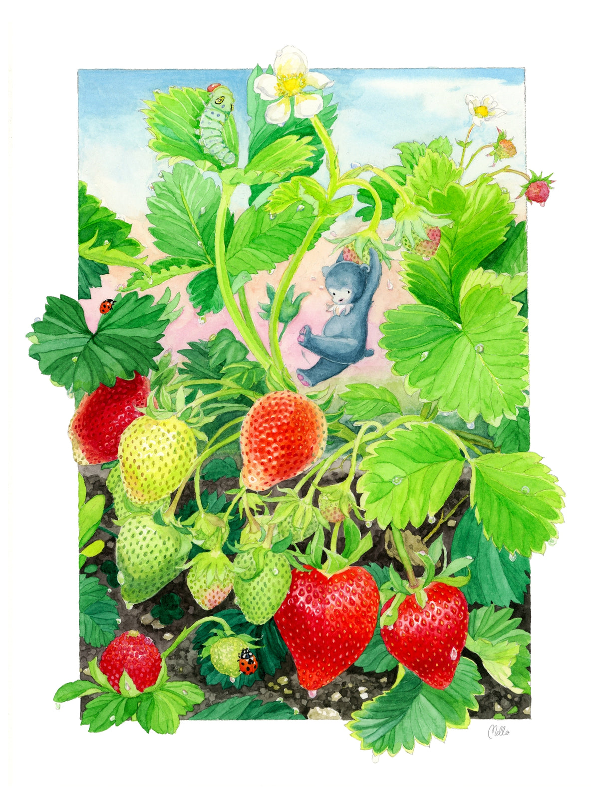 Strawberries in Spring