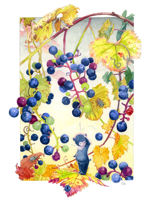 Grapes in Autumn